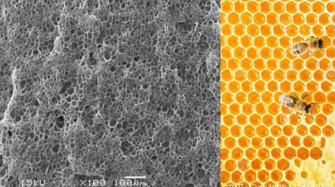 epp發泡聚丙烯的顯微結構，可以看到這是種連續閉孔結構，類似于蜂窩